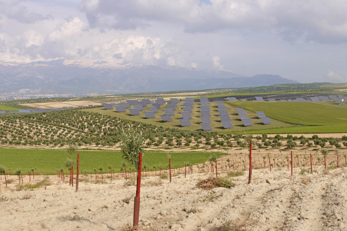 Landschap met zonnepanelen en olijfboomgaarden in Las Gabias, Andalusie, Spanje (bron: Dirk Oudes)