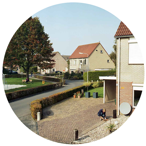 1·Lectures Cauliflower Neighbourhoods
